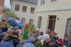 IMG-20250529-WA0005