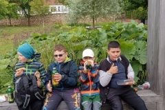 IMG-20250529-WA0095