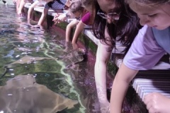 IMG_20250605_103950