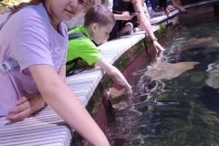 IMG_20250605_104217
