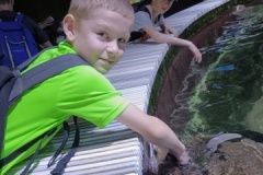IMG_20250605_104457