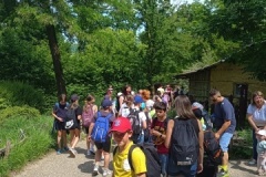 IMG_20250605_112536