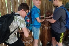 IMG_20250605_112825