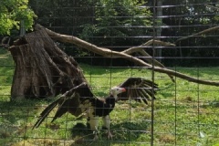 IMG_20250605_112855