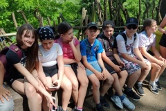 IMG_20250605_114331