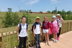 IMG_20250605_120017