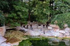 IMG_20250605_141756