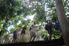 IMG_20250605_143356