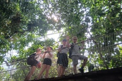 IMG_20250605_143414