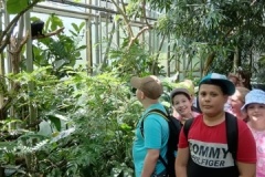 IMG_20250605_143500
