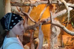 IMG_20250605_144025
