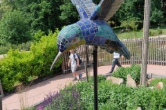 IMG_20250605_145055