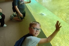 IMG_20250605_145302