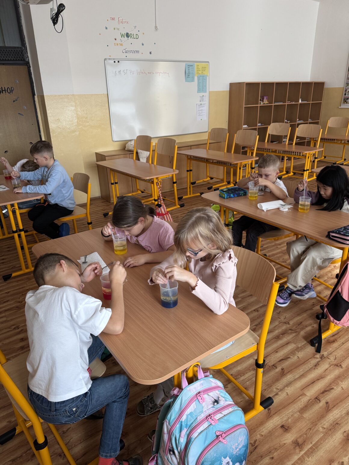 Veselá věda, badatelský