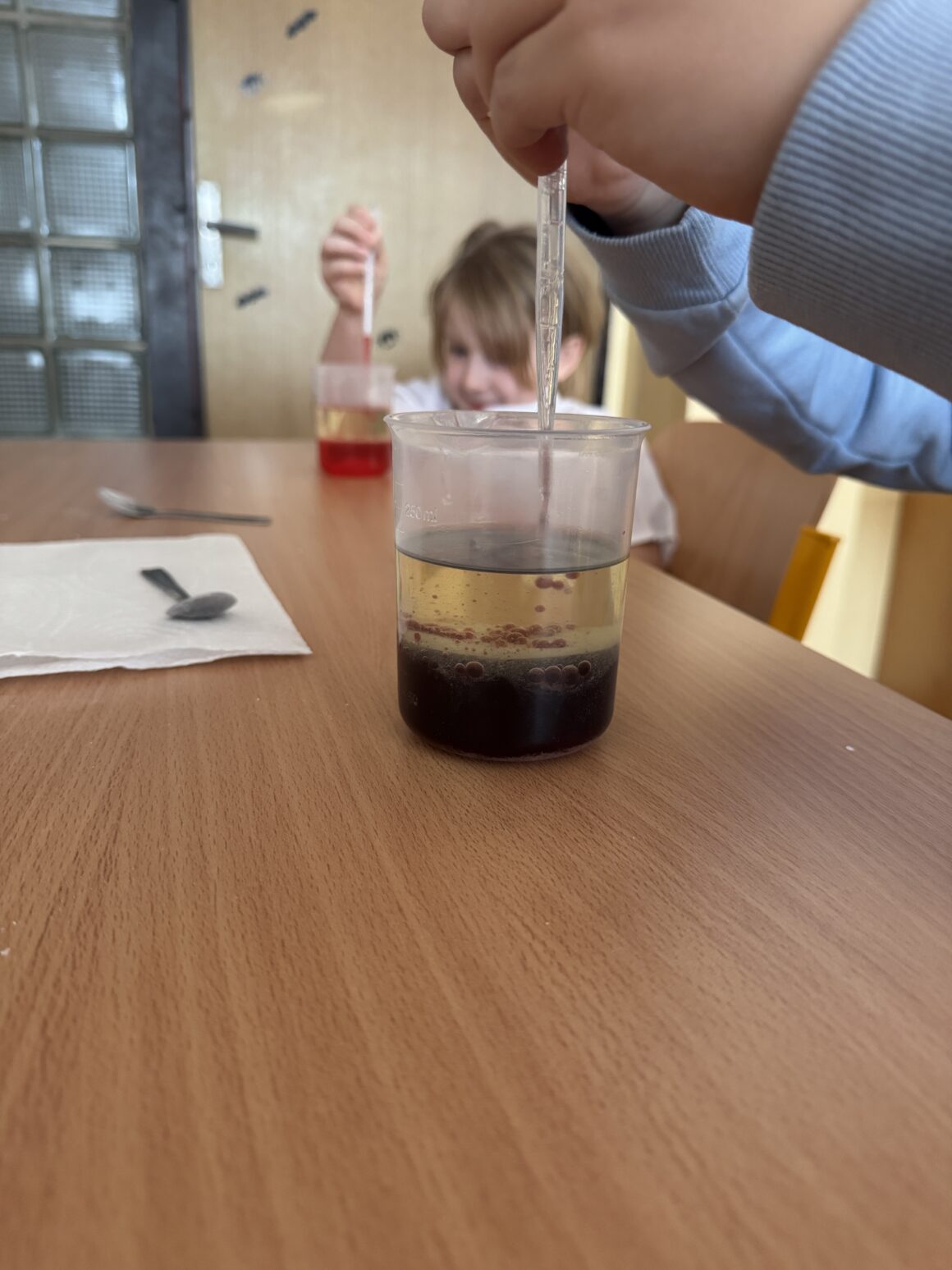 Veselá věda, badatelský