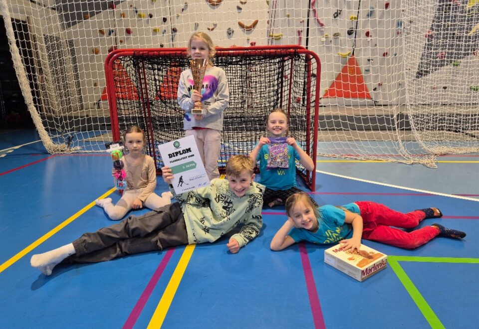 Turnaj školních družin 2026