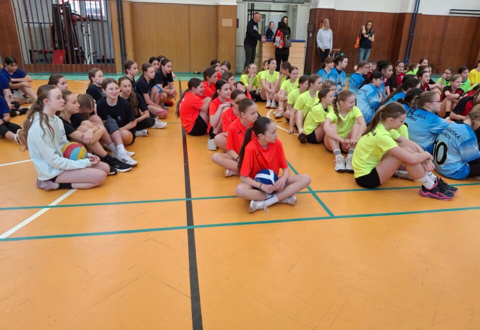 Havířovská liga základních škol – „bramborová medaile“ pro holky z Generálky
